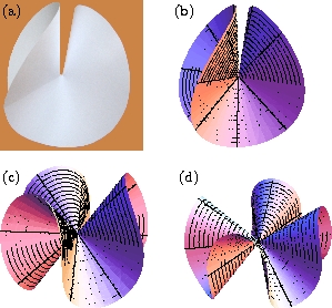 the e-cone