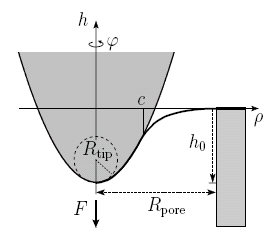 Modell AFM-Spitze-Pore-Membran